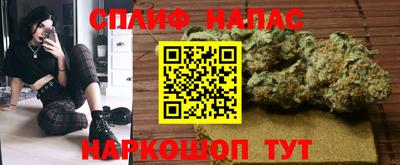 гидропоника Сланцы