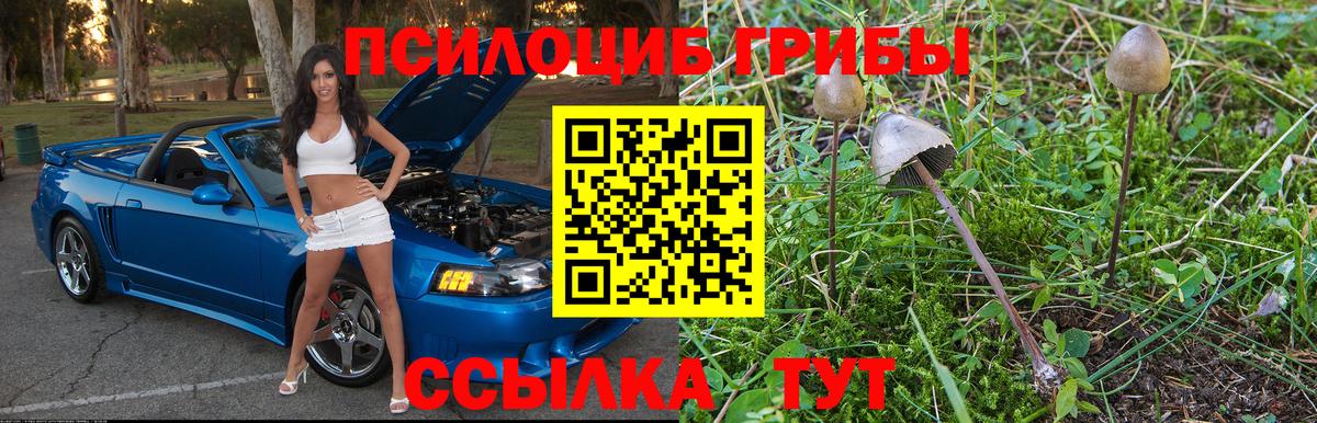 Галлюциногенные грибы Psilocybe  Псилоцибиновые грибы GOLDEN TEACHER  Вход с VPN  Моздок 
